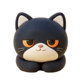 Sleepy black cat